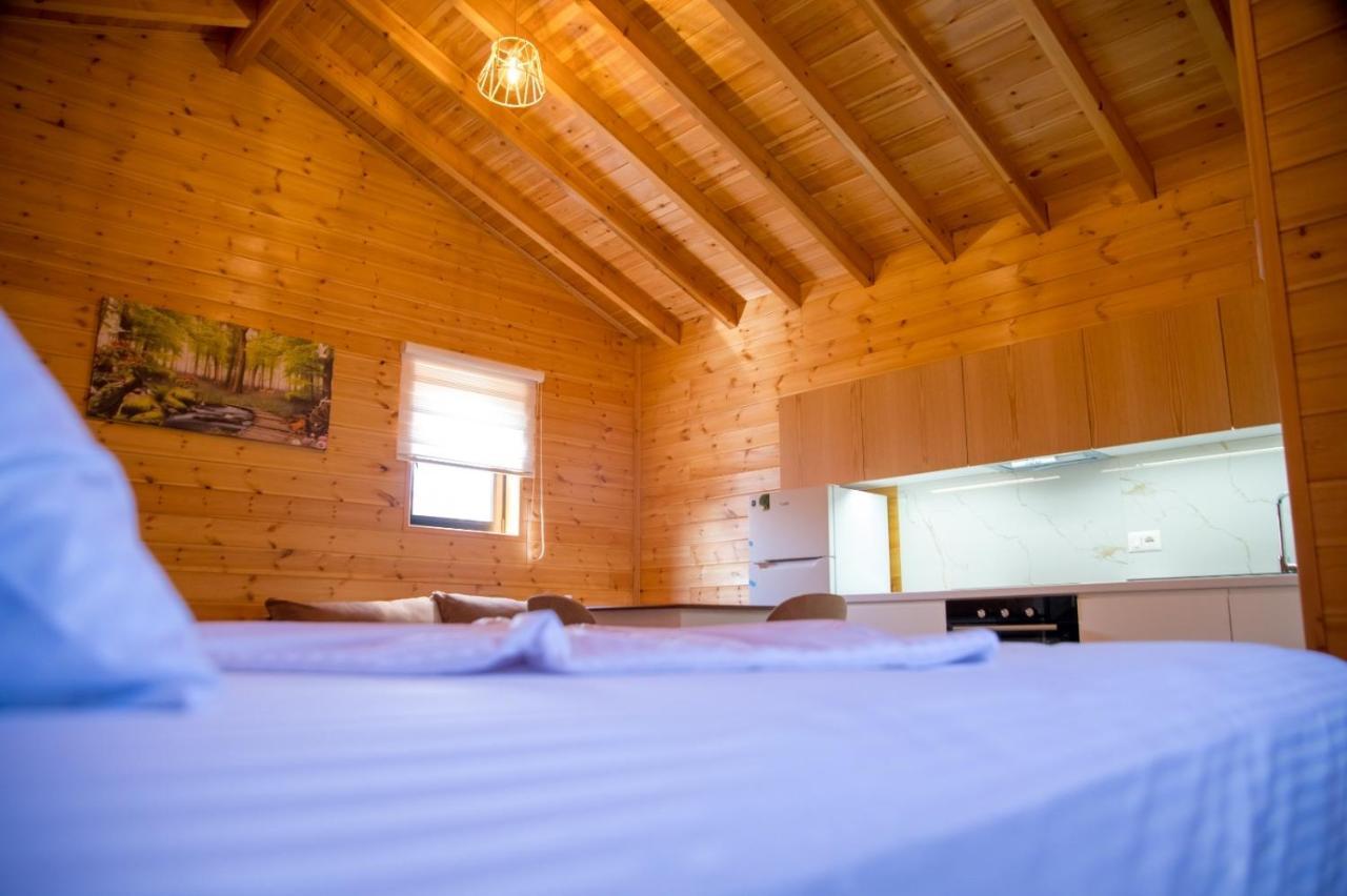 Bujtina Siar Hotel Pogradec Ngoại thất bức ảnh