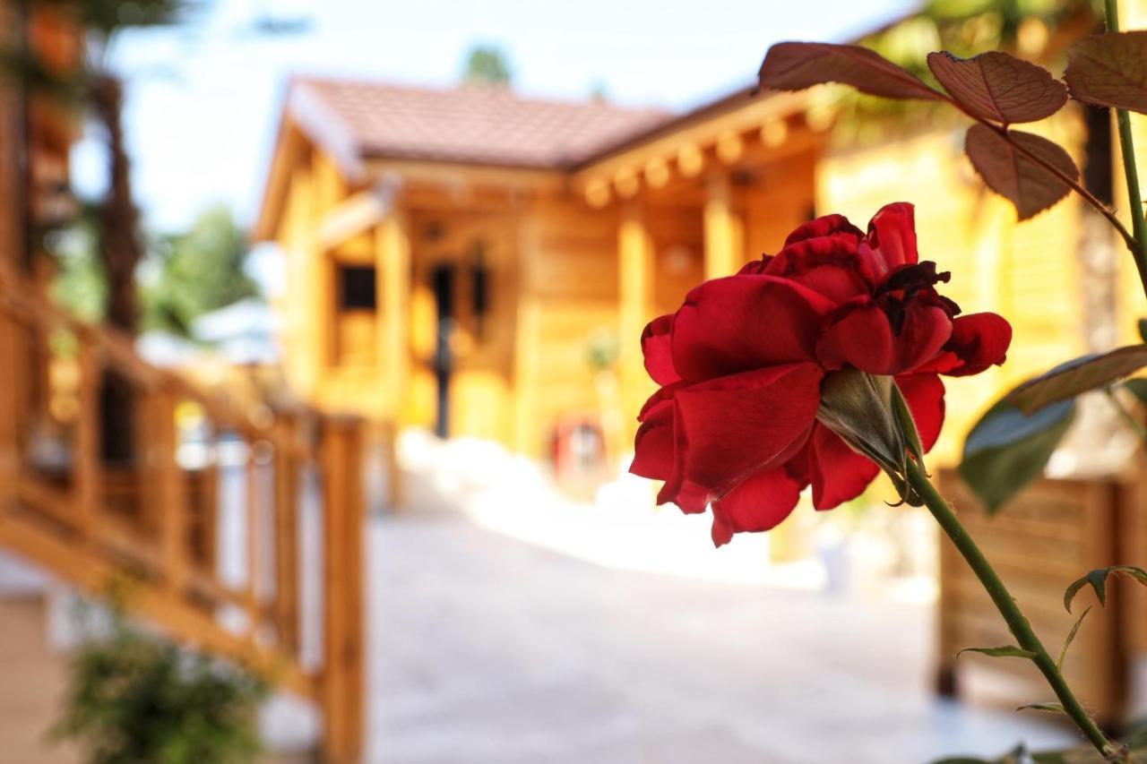 Bujtina Siar Hotel Pogradec Ngoại thất bức ảnh