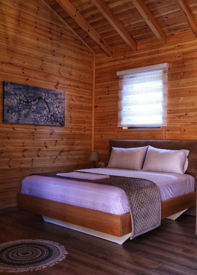 Bujtina Siar Hotel Pogradec Ngoại thất bức ảnh