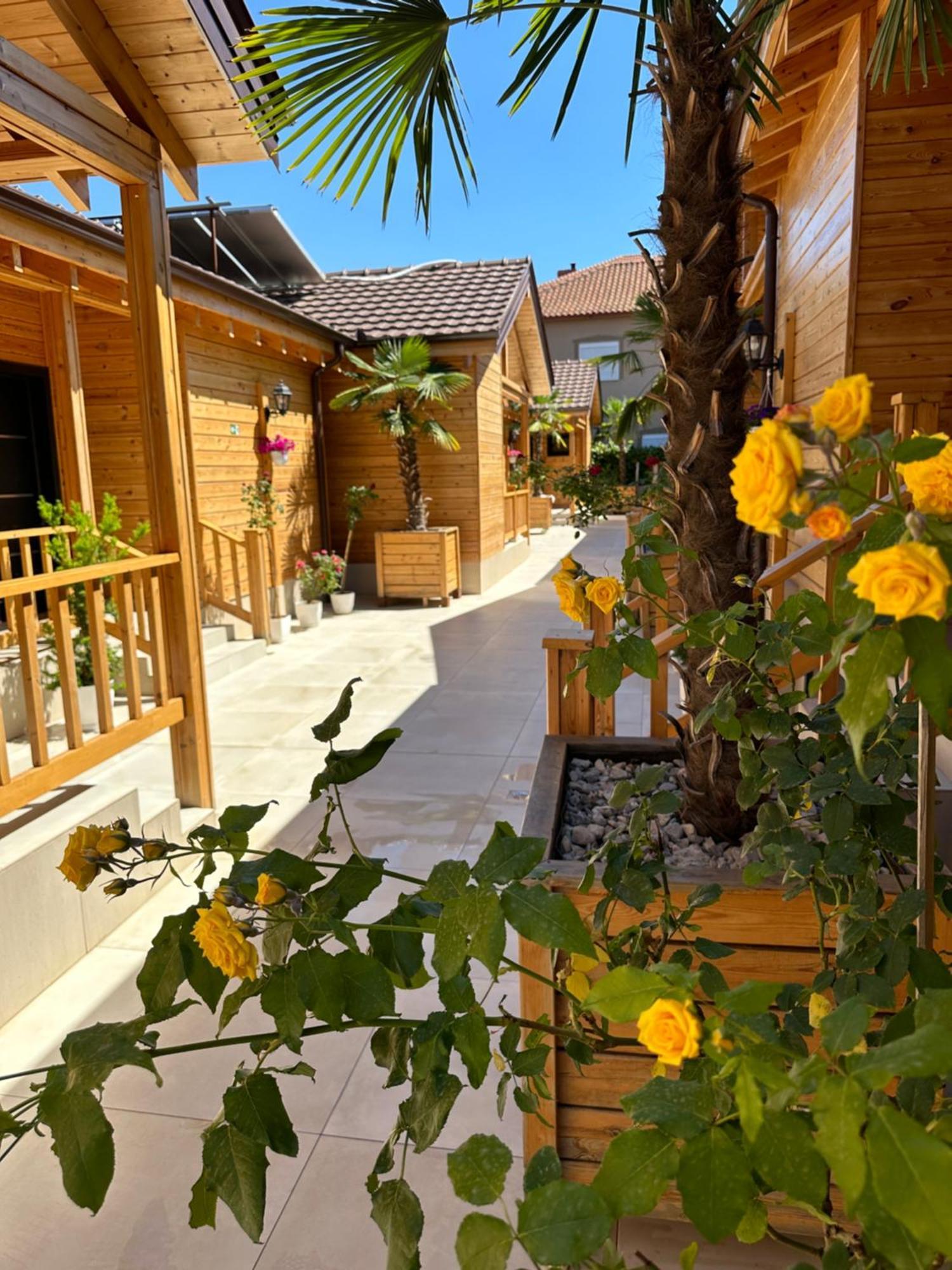 Bujtina Siar Hotel Pogradec Ngoại thất bức ảnh